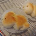 あひ0's cooksnap of when they made 恐竜パン♪　トリケラトプス.