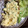 港UV's cooksnap of when they made 鯵のムニエル（╹◡╹）簡単、オイシイ！.