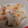 あゆたっくん's cooksnap of when they made 洋風炊き込みご飯(ピラフ風).
