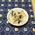 蕎麦の華's cooksnap of when they made 酢生姜で中華風サラダ.