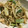 クック甘党。's cooksnap of when they made もやしとネギの卵炒め！.