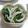 さリー！'s cooksnap of when they made しらす＆ほうれんそうぽん酢あえ.