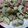 クレイジークック's cooksnap of when they made 蓮根とソーセージのバジル炒め.