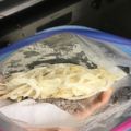 cheesedog's cooksnap of when they made シャキーン☆冷凍もやし.