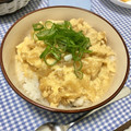 りーちぇる♡'s cooksnap of when they made ５分でできる　とろとろ親子丼.