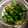 lucida's cooksnap of when they made コクうま！菜の花のからし和え.
