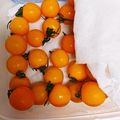 ソーダくん's cooksnap of when they made 割れない！長持ち！プチトマトの保存法.
