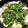 しんにし's cooksnap of when they made コストコのプルコギビーフで簡単すきやき風.