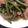 yurietti's cooksnap of when they made 牛肉いんげん炒め.