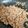 甘党ですが's cooksnap of when they made そぼろ丼.