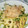 Kユリコ's cooksnap of when they made れんこんと豆苗のさっぱり炒め.