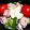 キャラメグ♪'s cooksnap of when they made 小松菜と大根のごま風味サラダ.