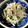 うな重浦和's cooksnap of when they made 大根とりんごのシャキシャキマヨサラダ.