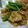 こあらぴ's cooksnap of when they made めんつゆで簡単！鶏のみぞれ煮.