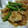 こあらぴ's cooksnap of when they made めんつゆで簡単！鶏のみぞれ煮.
