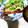 ＊新米ゆうちゃん＊'s cooksnap of when they made 伊勢海老のマヨネーズ焼き.