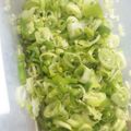 るりご's cooksnap of when they made 万能！ネギしょうが.