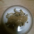 クックXZNKKF☆'s cooksnap of when they made たらときのこの蒸し煮.