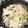 ももちゃんパンダ's cooksnap of when they made 豚ごぼう＆もやし蒸し☆.