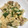 クックS31G7A☆'s cooksnap of when they made 豚肉とエリンギと玉子の炒め物.