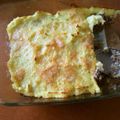 ブランディ's cooksnap of when they made シェパーズパイ.