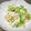 ジョングレ's cooksnap of when they made レンジで簡単♪豆苗ともやしの胡麻マヨ和え.
