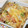 プチ豚ちゃん's cooksnap of when they made 柚子胡椒で★白菜とベーコンの和風グラタン.