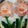 クックSJ0Y9V☆'s cooksnap of when they made ✿お花が笑う目玉焼き✿.
