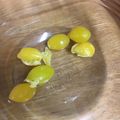 ネギがお好き's cooksnap of when they made ズボラ簡単銀杏.
