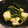 chihiroY's cooksnap of when they made 白だしさっと煮！春の訪れ野菜と鶏団子.