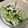 ☆tomo_☆'s cooksnap of when they made れんこんと小松菜のからし酢味噌和え.
