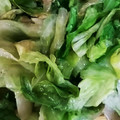 hahahahaha's cooksnap of when they made 新しい美味しさ、レタスのサッとお浸し。.