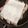 ねおみ's cooksnap of when they made 「熱っ！」となりにくいベーコンの焼き方.