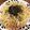 miion☆'s cooksnap of when they made めんつゆで♪アボカドの和風わさびパスタ.