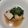 クックQ4GW0M☆'s cooksnap of when they made 油抜不要小松菜と厚揚げの顆粒だし煮びたし.