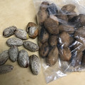 ぽちひ's cooksnap of when they made 効率的！かやの実の剥き方.