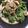 Hamachi_'s cooksnap of when they made ブロッコリーとちくわのツナマヨサラダ.