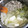 おしひと's cooksnap of when they made 簡単京風湯豆腐.