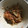 るみ子ママ's cooksnap of when they made あと一品！もやしのキムチ和え.