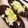 料理修行中♡'s cooksnap of when they made 白菜の白だしワサビマヨネーズのサラダ.