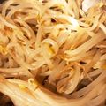 のんのんノンタロス's cooksnap of when they made 電子レンジでもやしナムル.