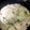 クックM29O7N☆'s cooksnap of when they made 簡単♪白菜たっぷりクリーム煮.