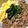 MicHolly's cooksnap of when they made 甘さが苦手な方の☆三色丼☆.