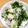 ＠ERiNA's cooksnap of when they made 大根葉で菜めし♬.
