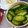 りよんじゃ's cooksnap of when they made 【簡単おつまみ】きゅうりの中華風醤油漬け.