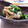 inyako's cooksnap of when they made ほうれん草と舞茸のおろぽん.