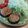 Wmoon31's cooksnap of when they made しいたけの洋風肉詰め(o^^o).