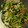 大さじ1's cooksnap of when they made 母から教わった♫油揚げと大根の葉の炒め物.