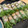 パフェうさこ♪'s cooksnap of when they made 生春巻の保存♪.