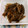 ぺったらこ☆'s cooksnap of when they made ごぼうとこんにゃくの甘辛生姜炒め.